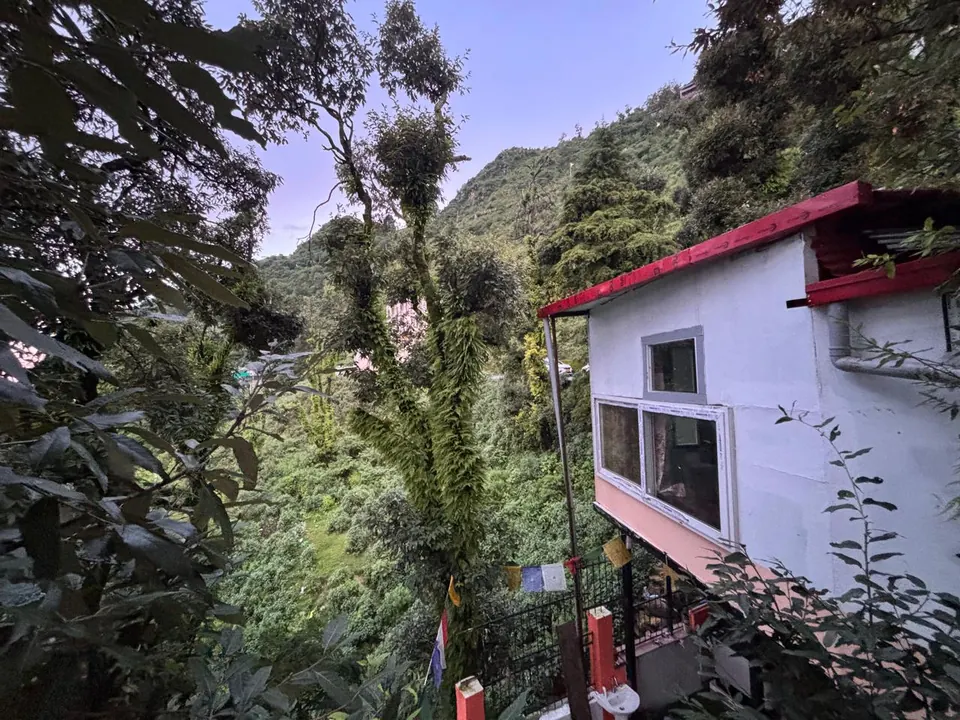 The property surrounded by trees and a green hillside